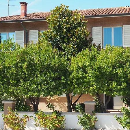 Aura Relais-3